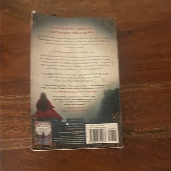 The Shepard King Duology: a Dark Fantasy Book Set by Rachel Gillig - Picture 4 of 14